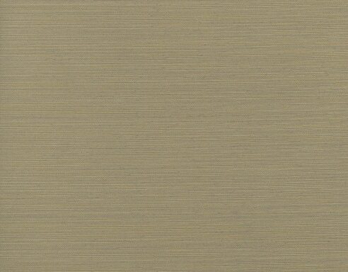CHENONCA 2656 / 818