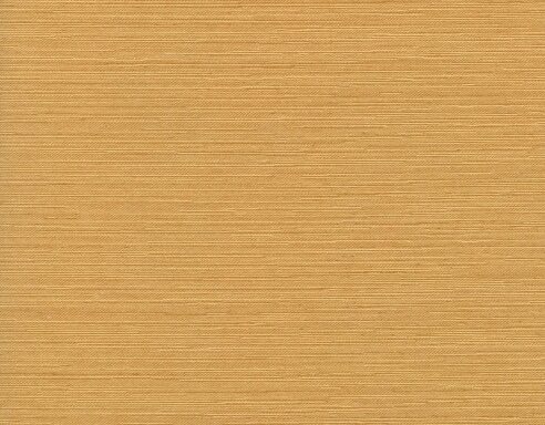 CHENONCA 2656 / 871